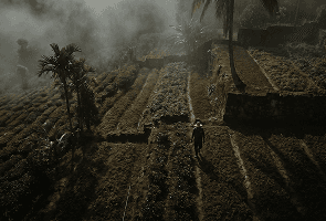 Agriculture & Farming